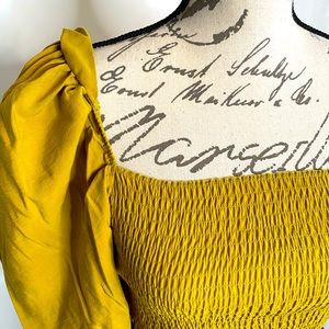 Zara Mustard Crop Top XS